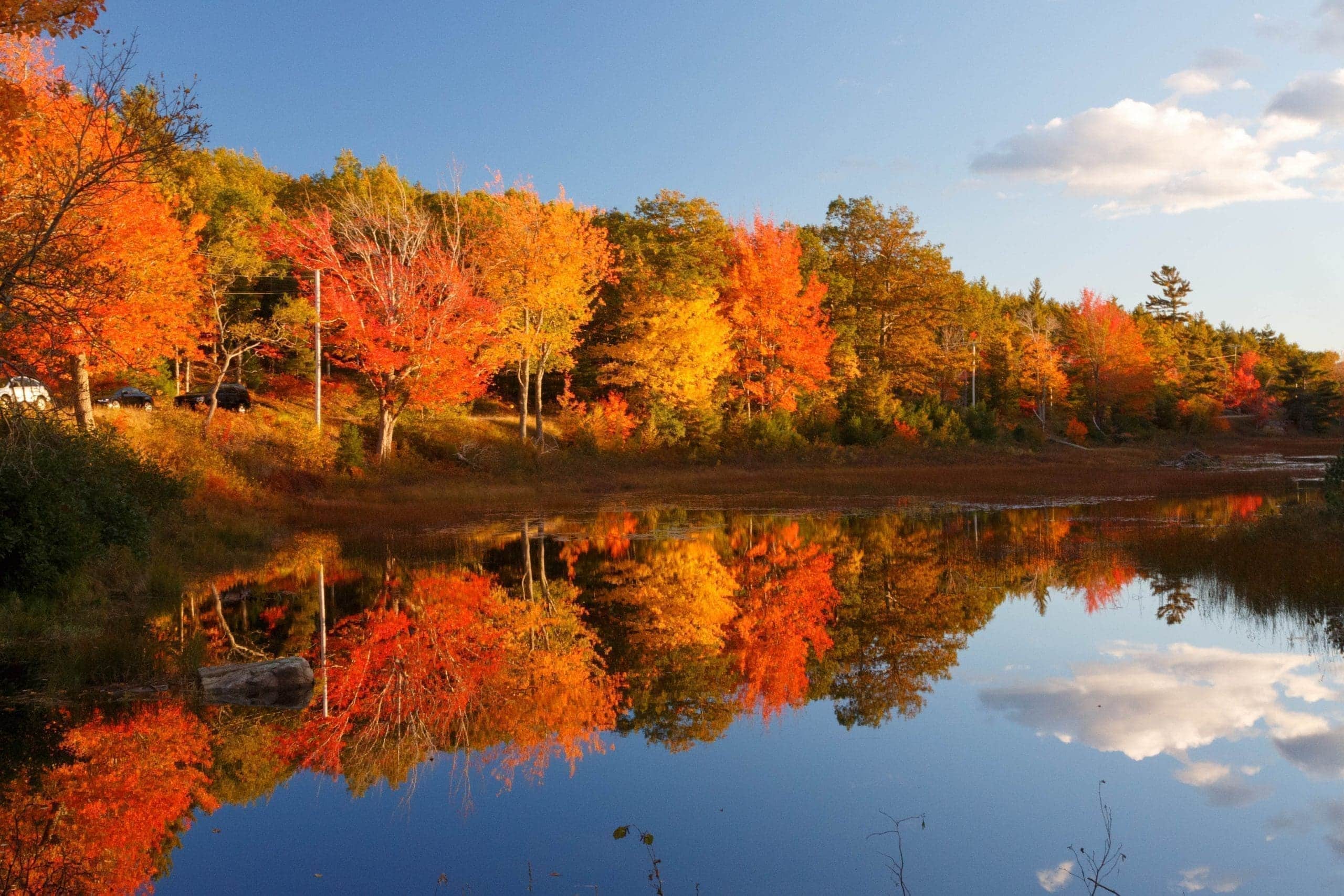 East Coast Fall Foliage Self-Guided Driving & Walking Tours Bundle