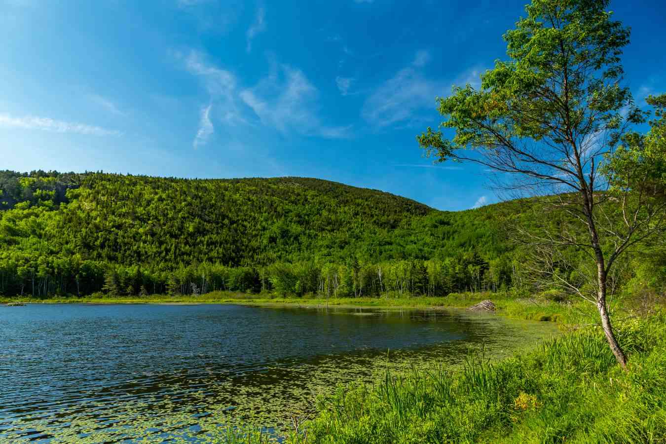 Acadia National Park Self-Guided Driving Tour