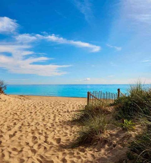 Is Cape Cod the Perfect Fall Getaway Destination?