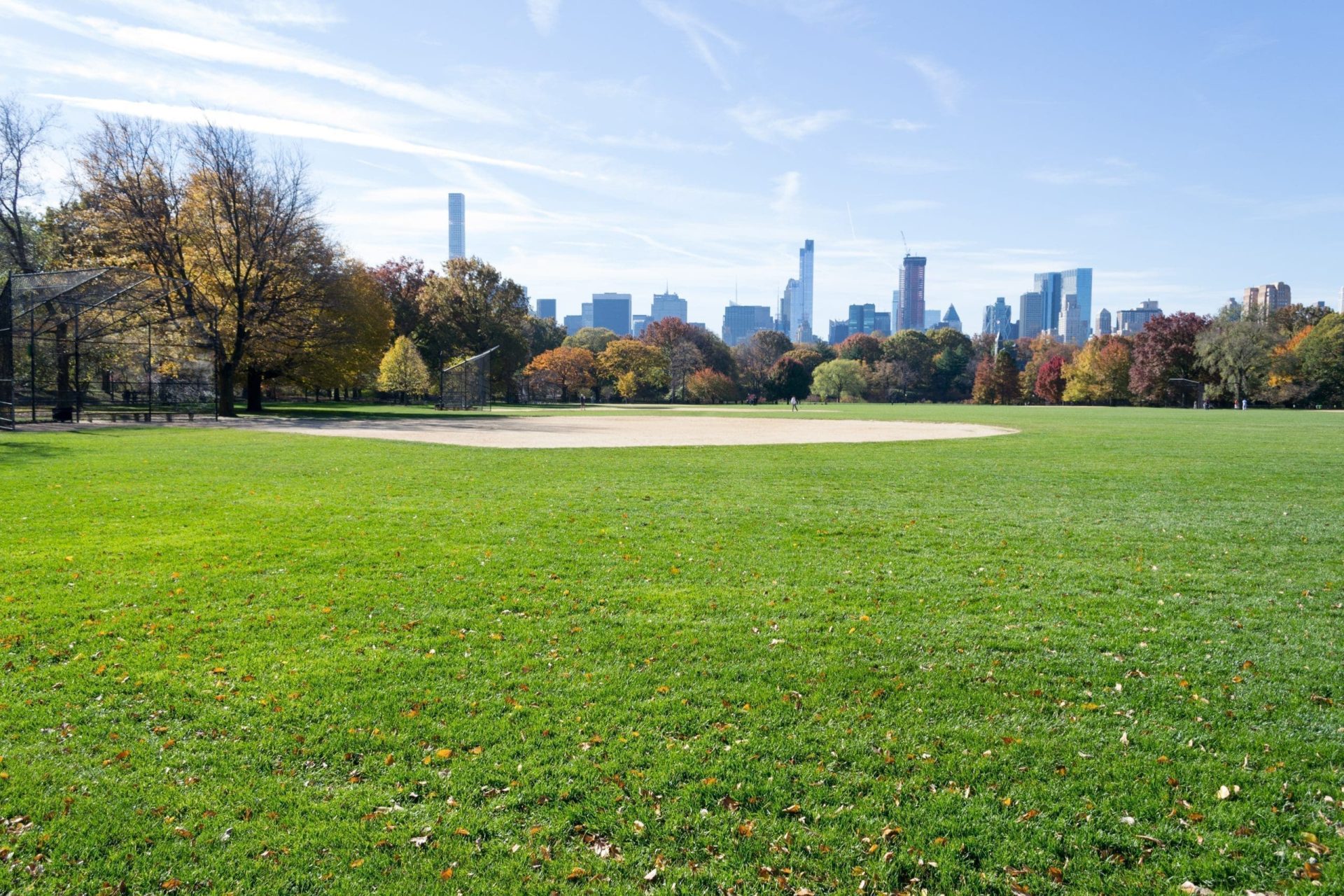 are dogs allowed in central park nyc