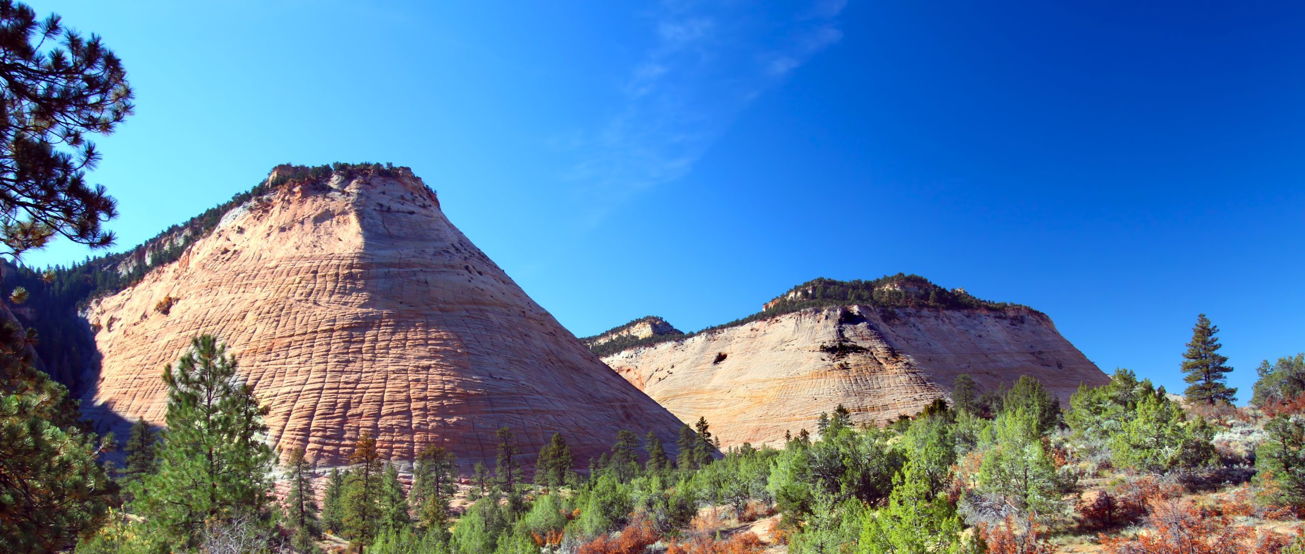 Zion National Park Self-Guided Tour