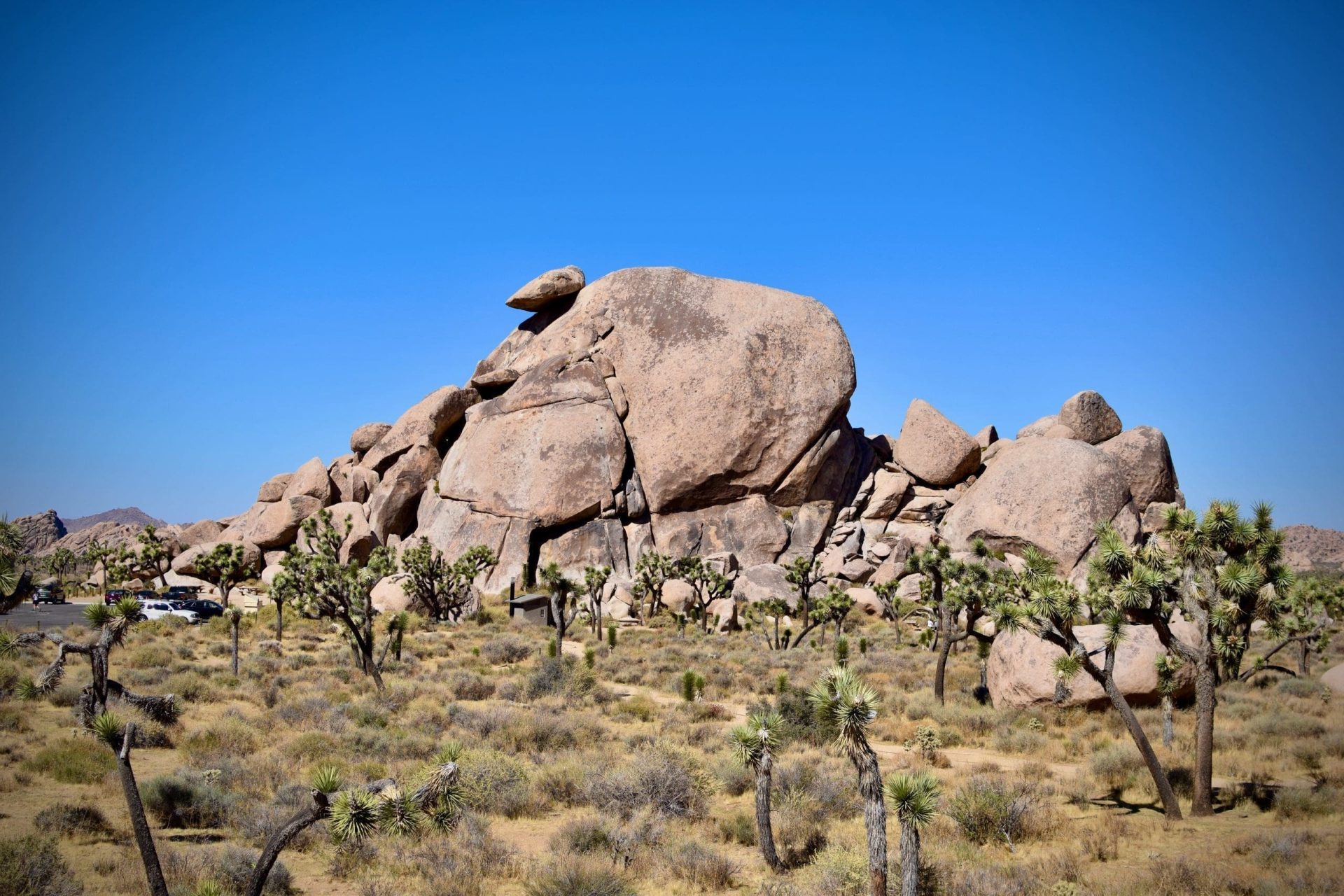 Joshua Tree National Park Self-Guided Driving Tour