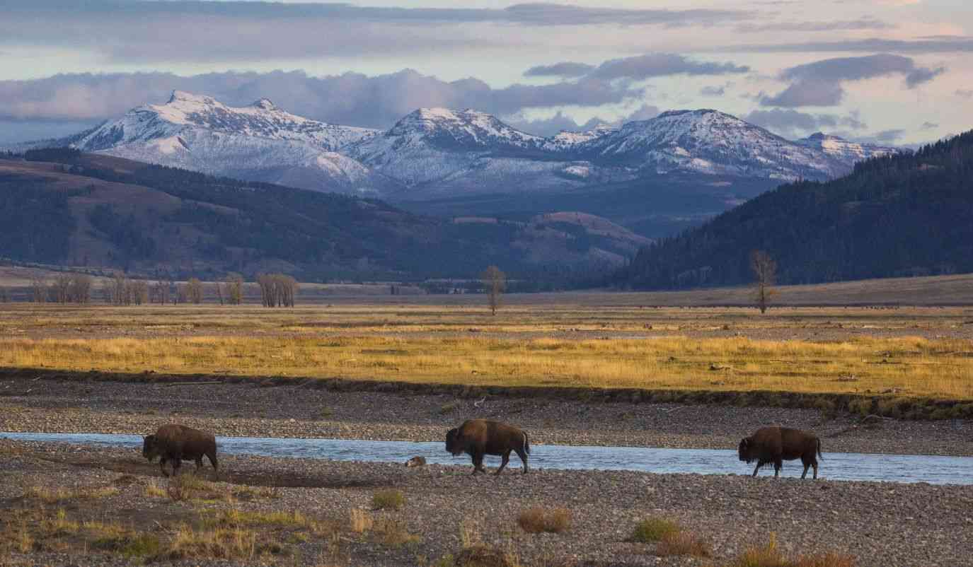 How many entrances are there into Yellowstone?