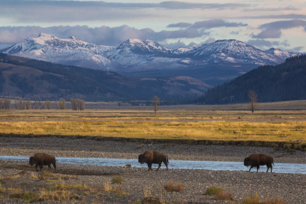 What is Yellowstone National Park famous for?