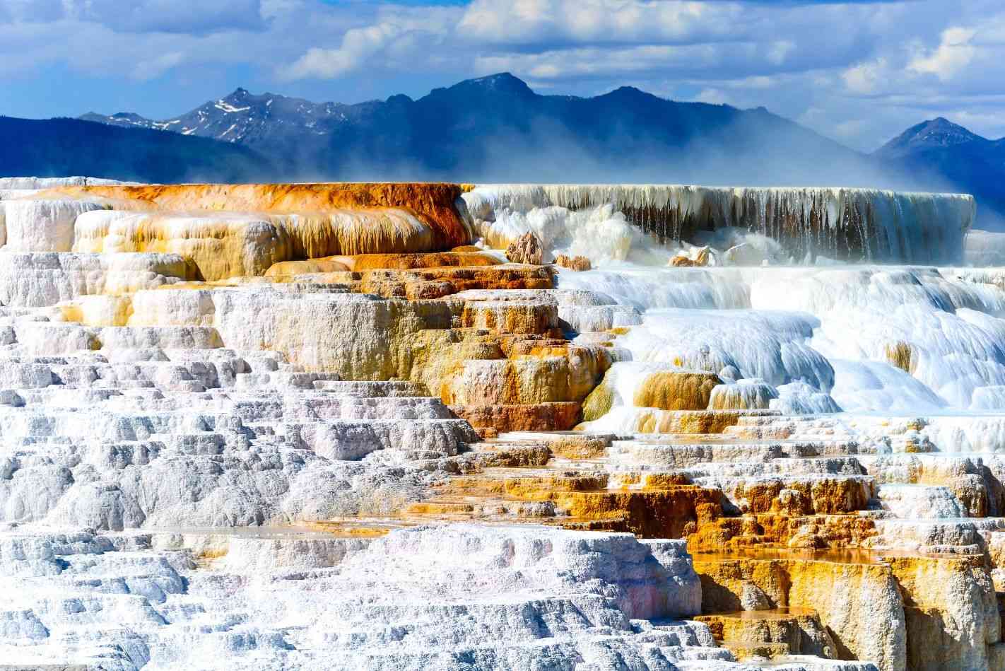 Does Yellowstone have guided tours?
