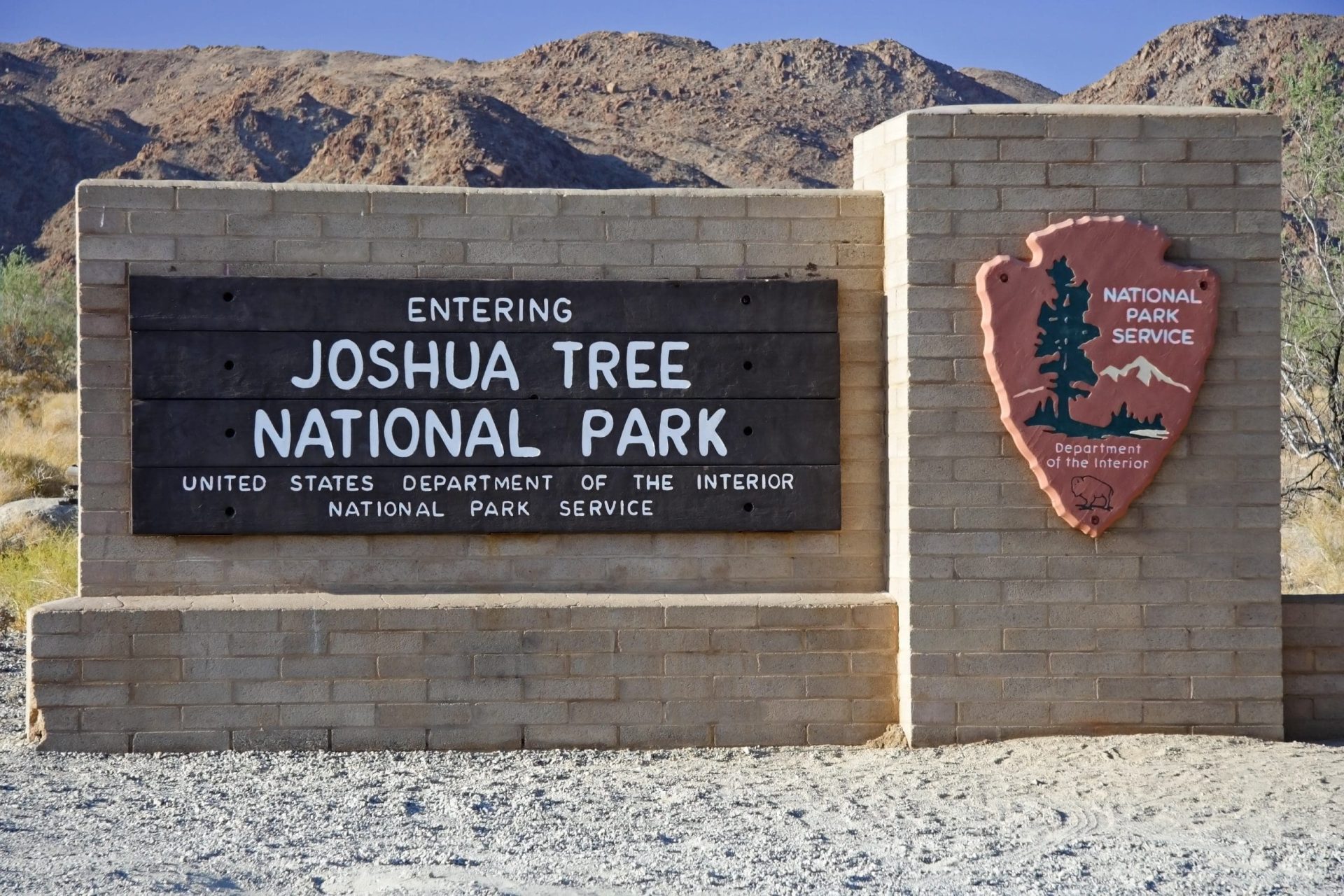 What is a Joshua Tree?