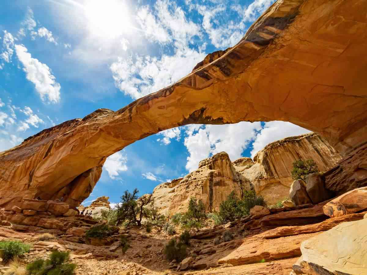 Capitol Reef National Park Self-Guided Driving Tour