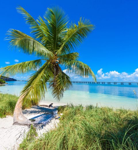 Florida Keys Wonders: Your 3-Day Adventure