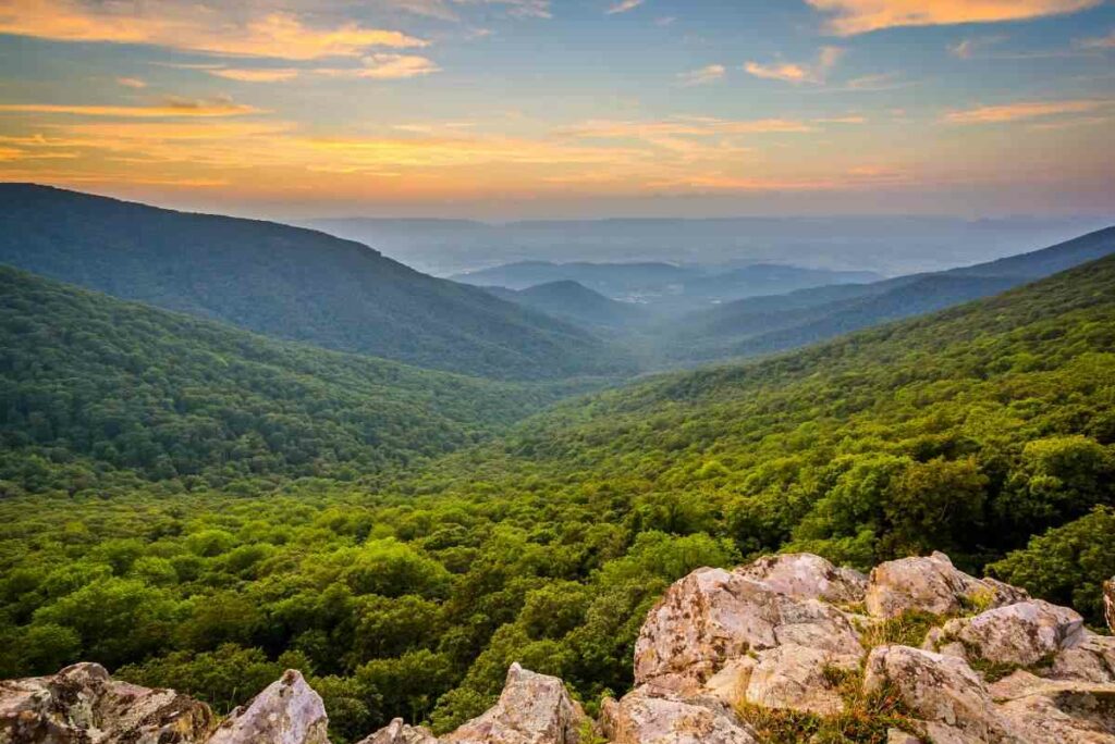 What is so special about Shenandoah National Park?