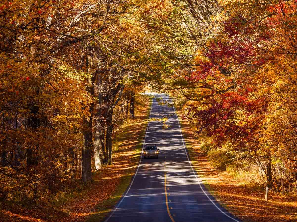 Shenandoah National Park Self-Guided Driving Tour