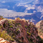 When Was Saguaro National Park Created?