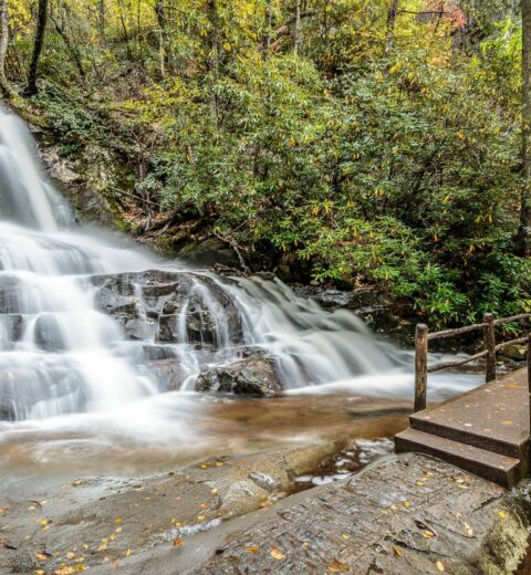 How do you avoid crowds in the Smoky Mountain National Park?