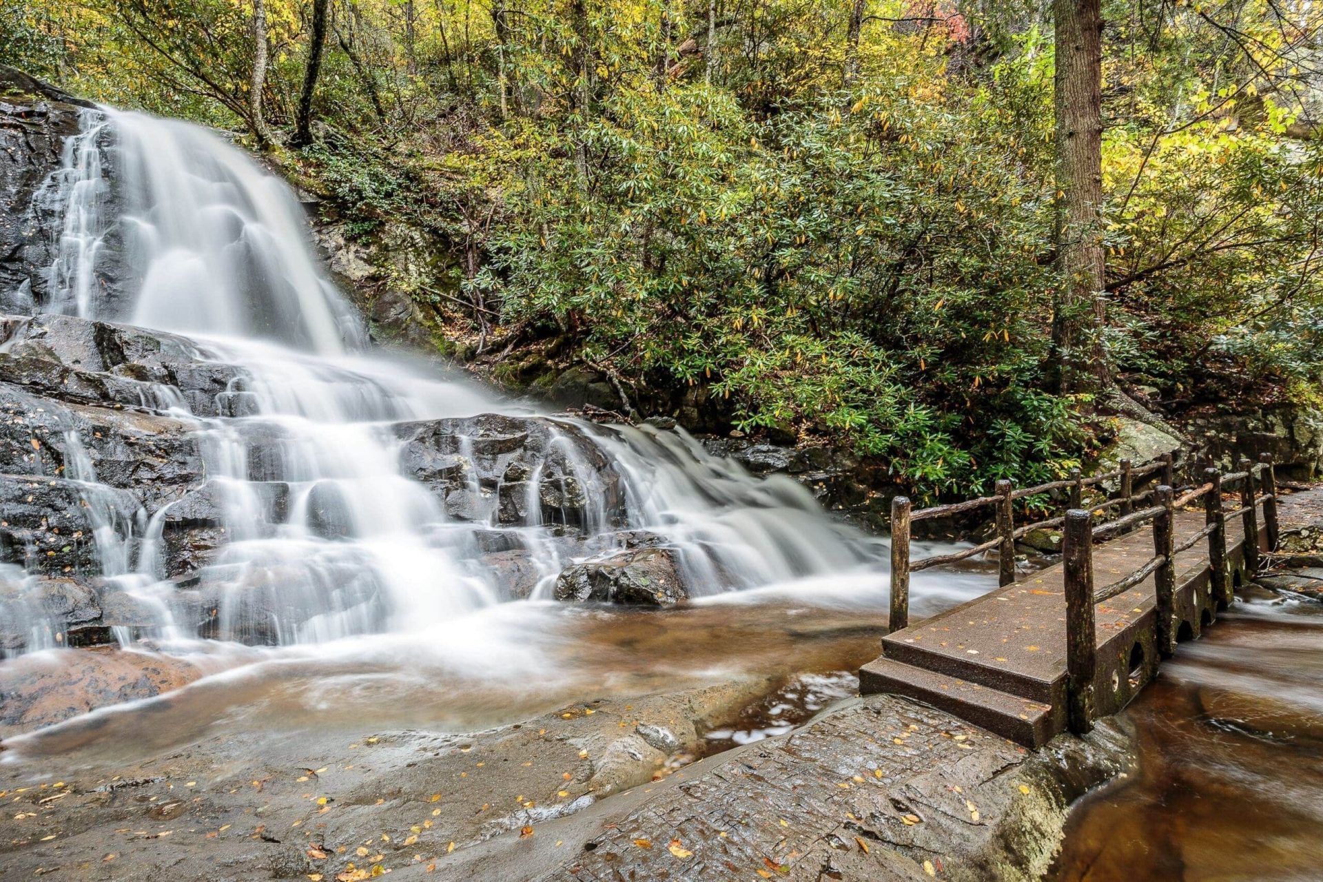 Is there a Great Smoky Mountains tour? 