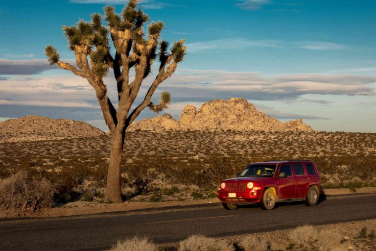 Can you drive through Joshua Tree National Park? Driving Tour
