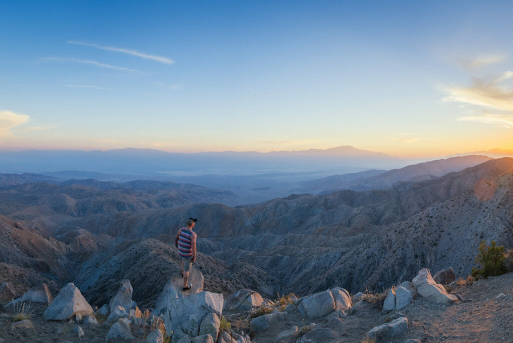 What’s Cool About Joshua Tree?