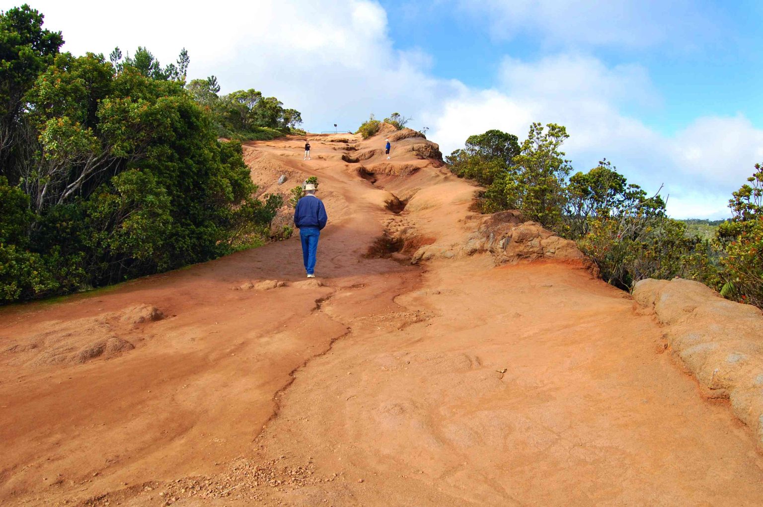 kauai tours for seniors