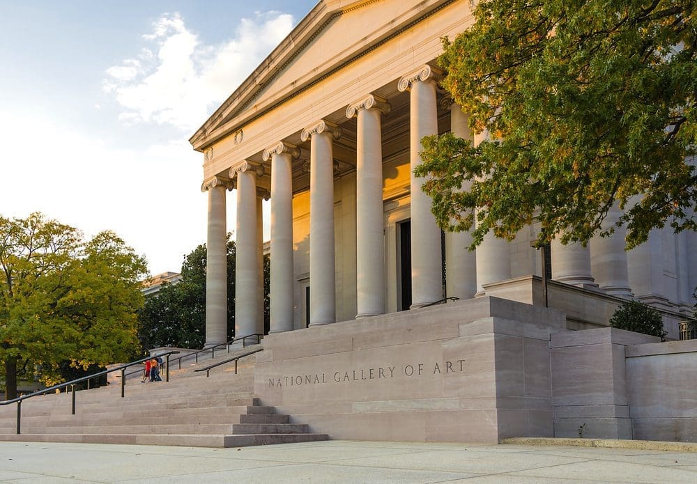 are dogs allowed in washington dc museums