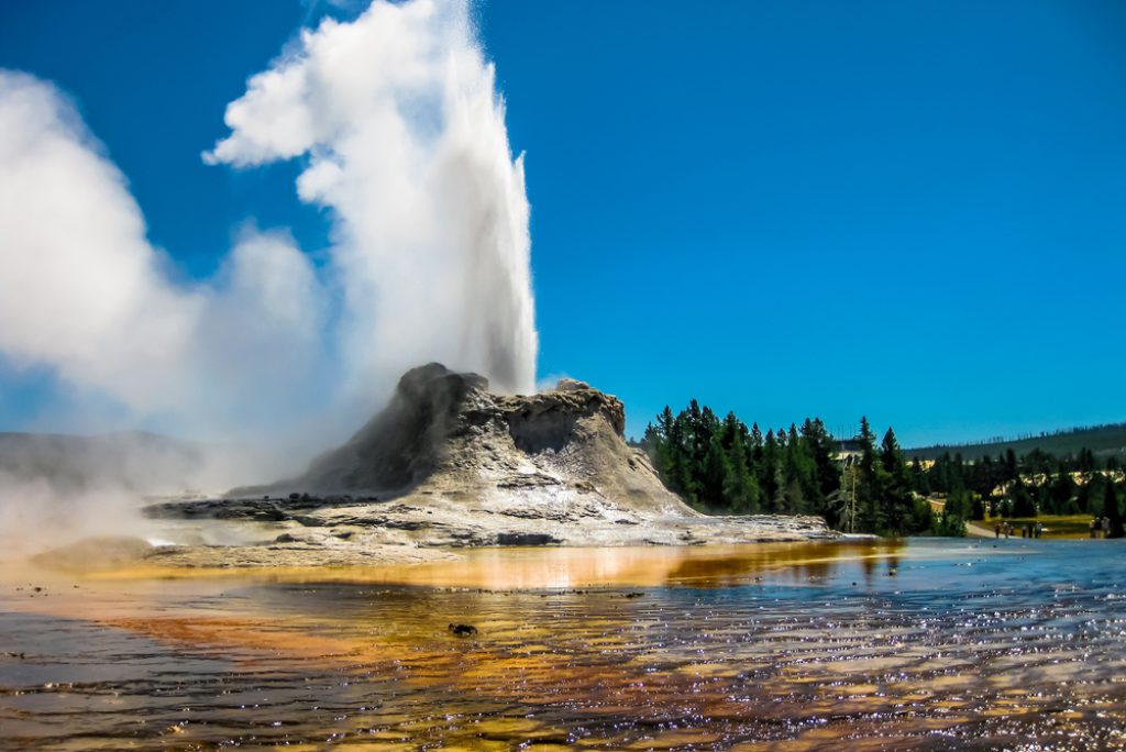 What is the best tour of Yellowstone National Park?