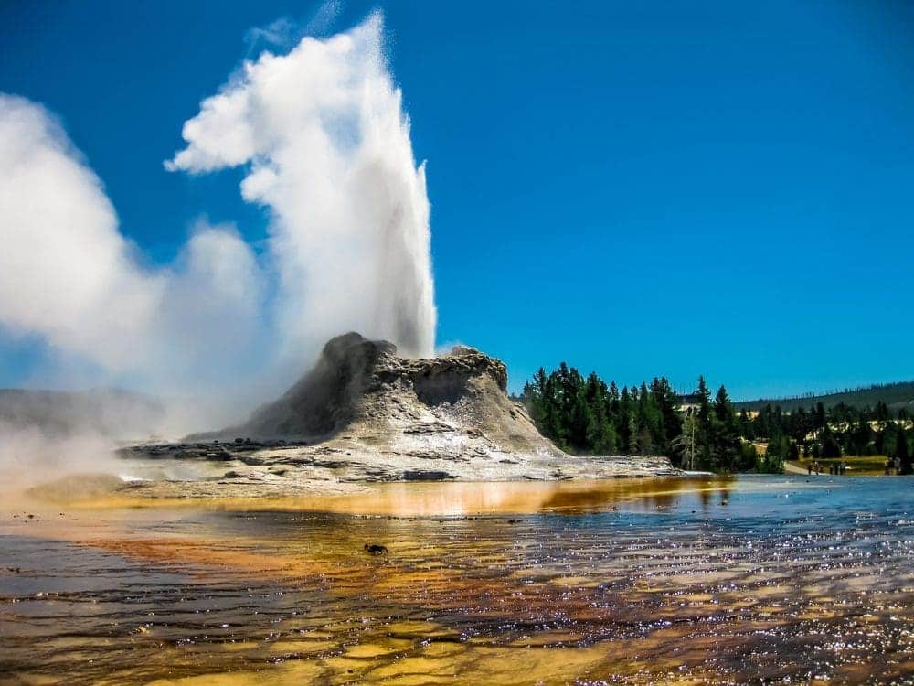 Yellowstone, Glacier & Grand Teton Tours by Action Tour Guide