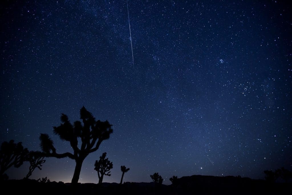 Can You See the Milky Way From Joshua Tree? Action Tour Guide