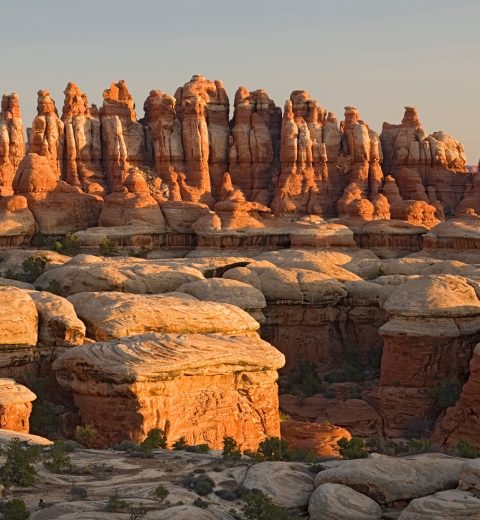 What is the best way to see Arches National Park?