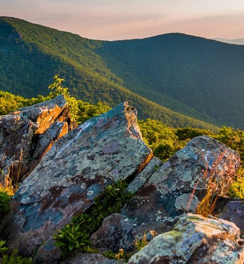 What is the Prettiest Part of Skyline Drive?