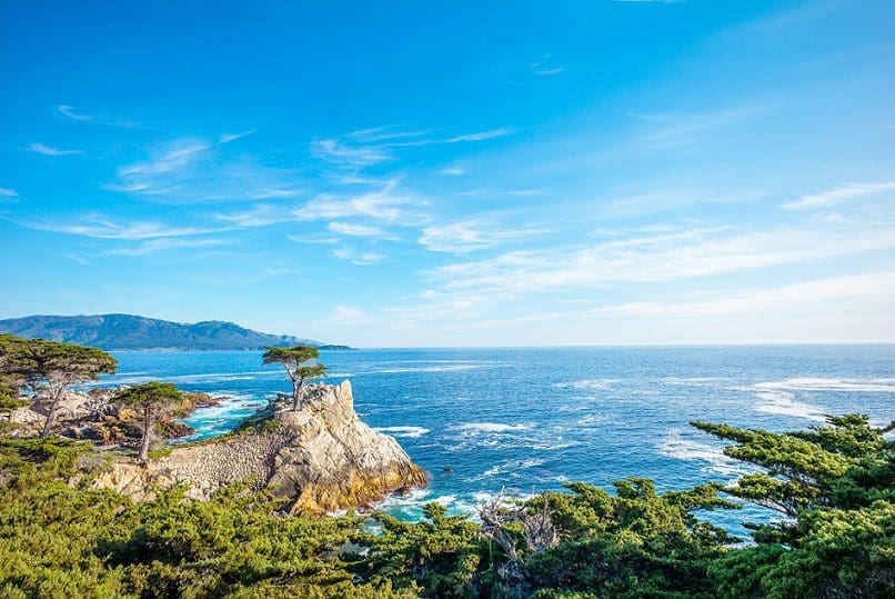 17-Mile Drive - The Lone Cypress