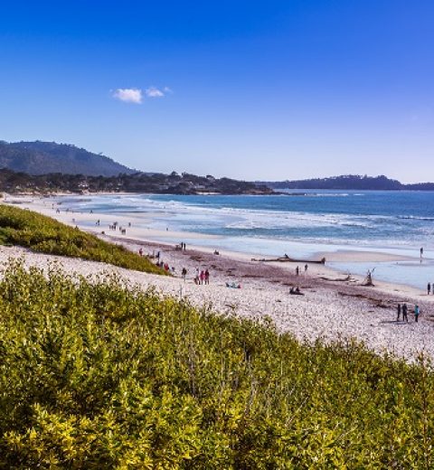 What Should You Not Miss on the Pacific Coast Highway?