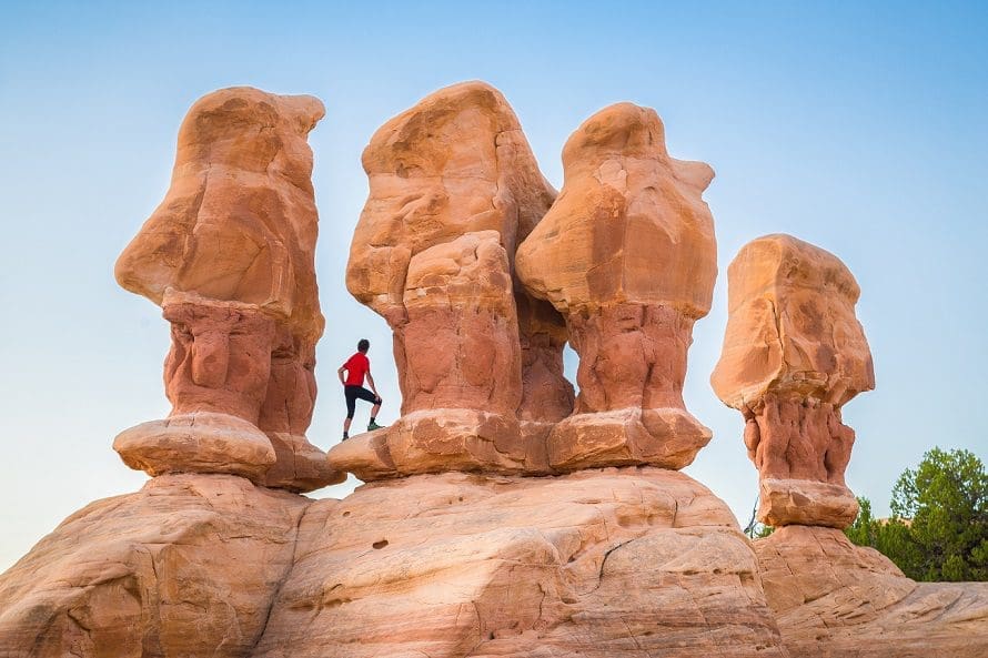 are dogs allowed in escalante national monument