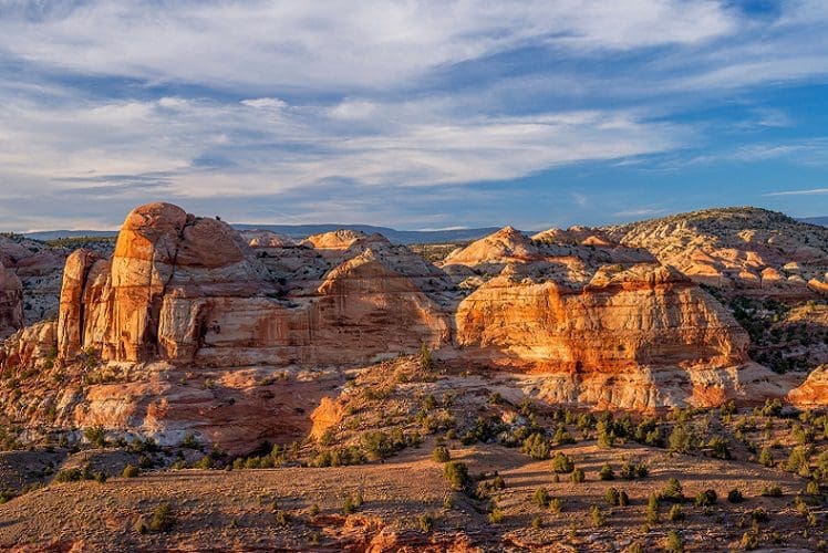 is grand staircase escalante dog friendly