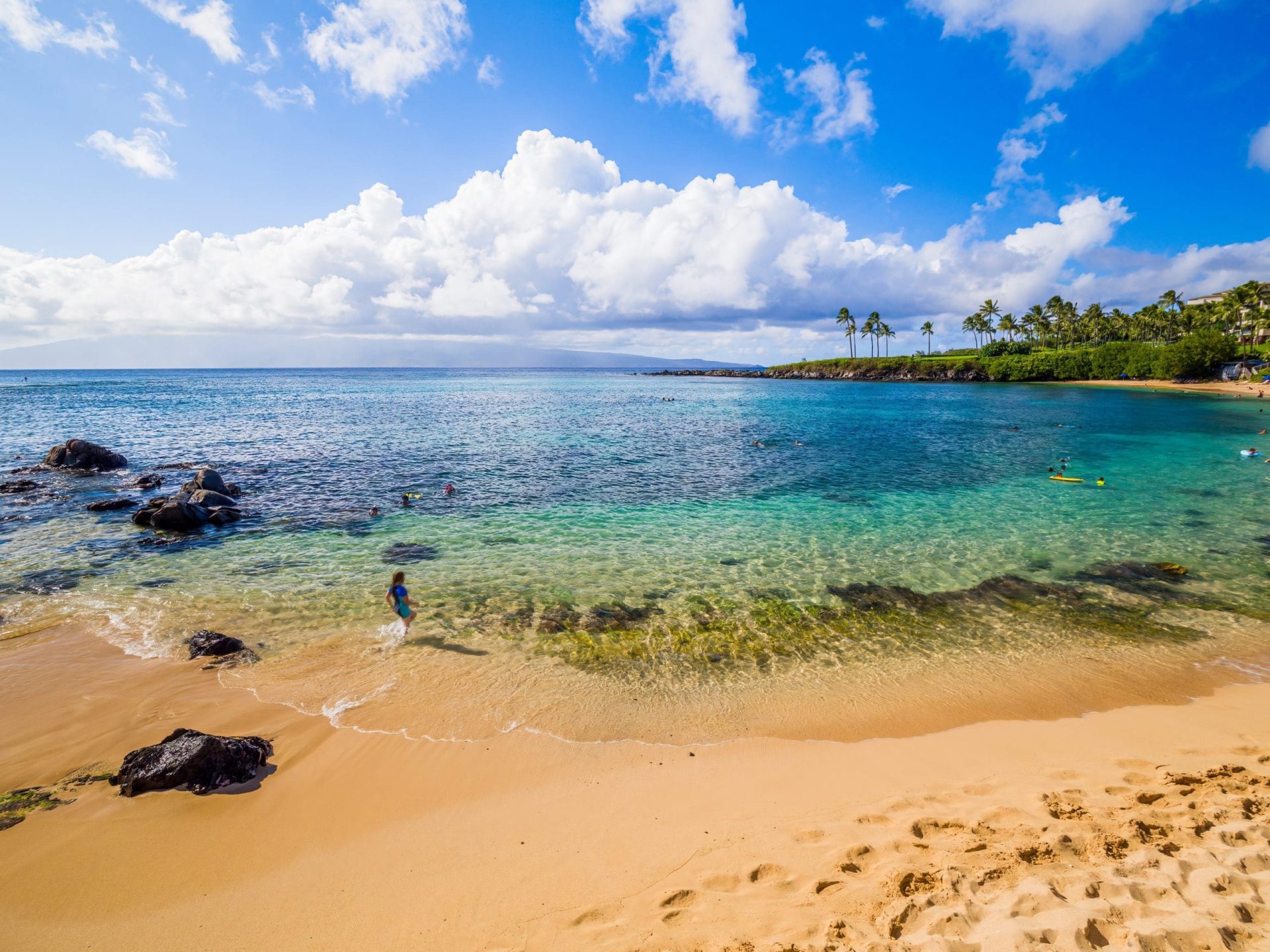 Where Is The Clearest Water In Maui Action Tour Guide