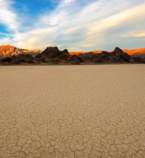 Does Life Exist in Death Valley?