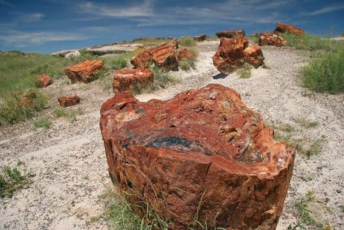 Petrified National Park Self-Guided Driving Tour