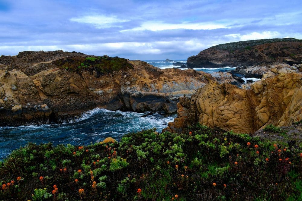 Big Sur, Point Lobos