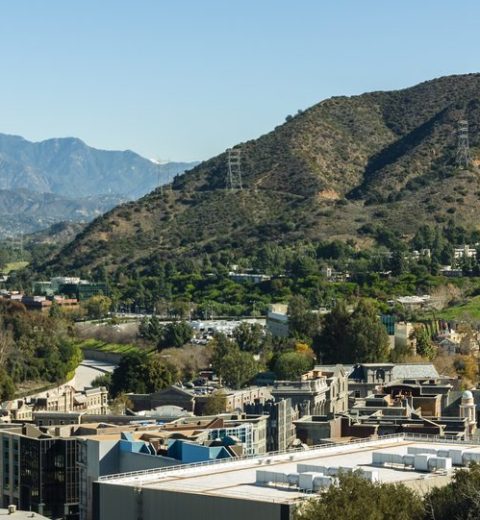 Where do most Hollywood celebrities live?