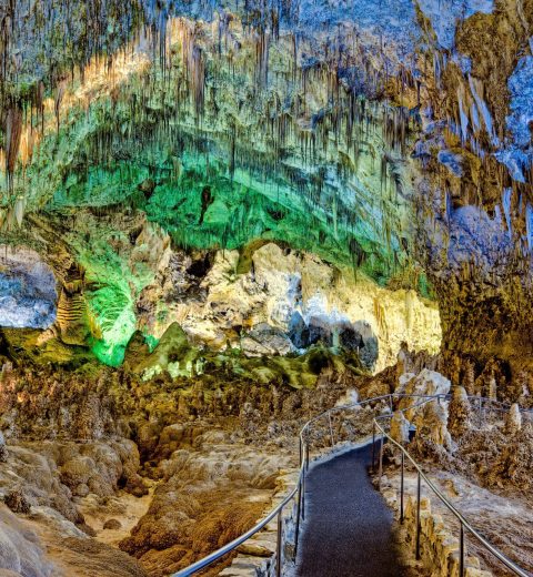Where is Carlsbad Caverns?