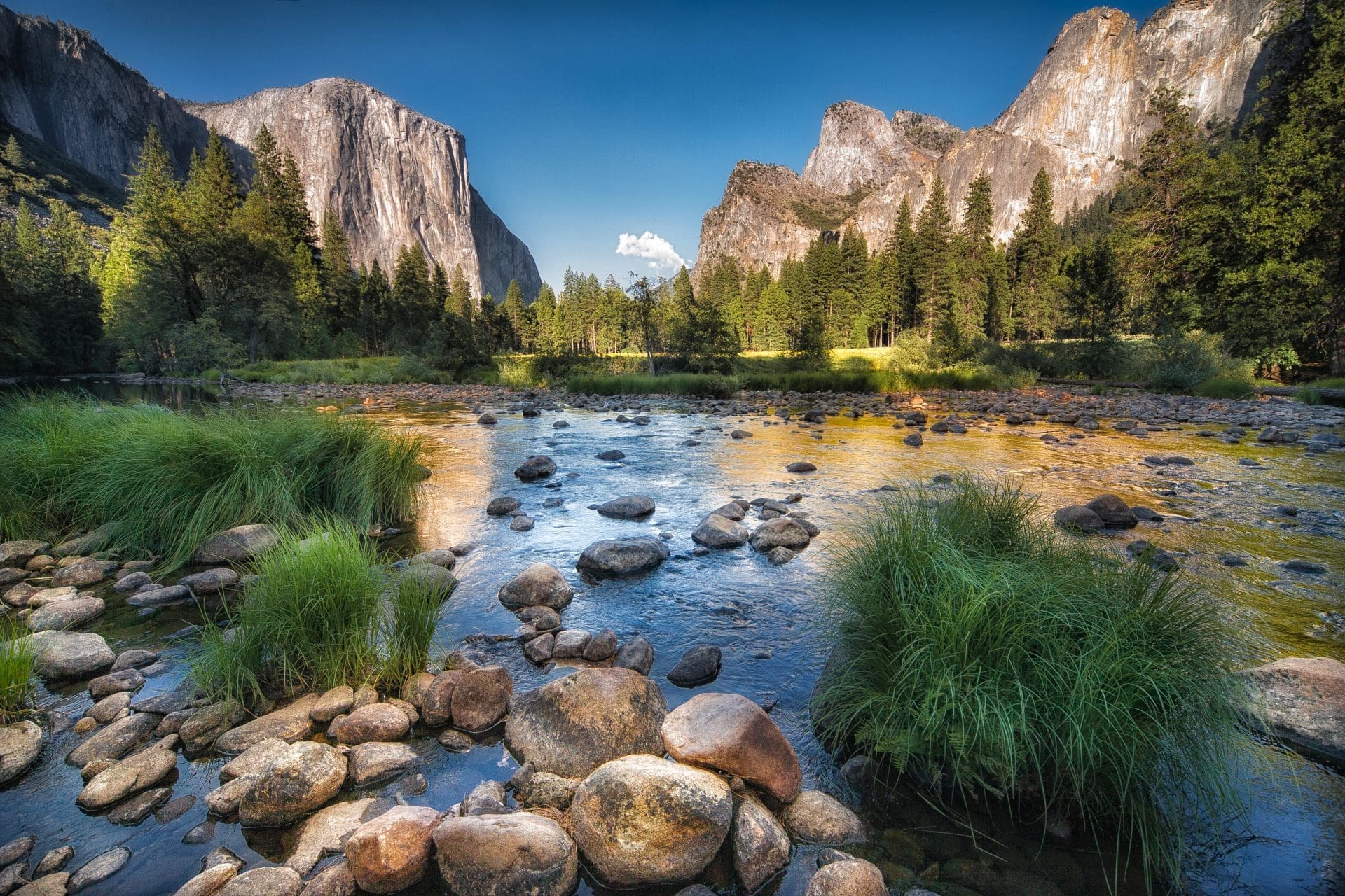 Should I Visit Yosemite or Yellowstone First?