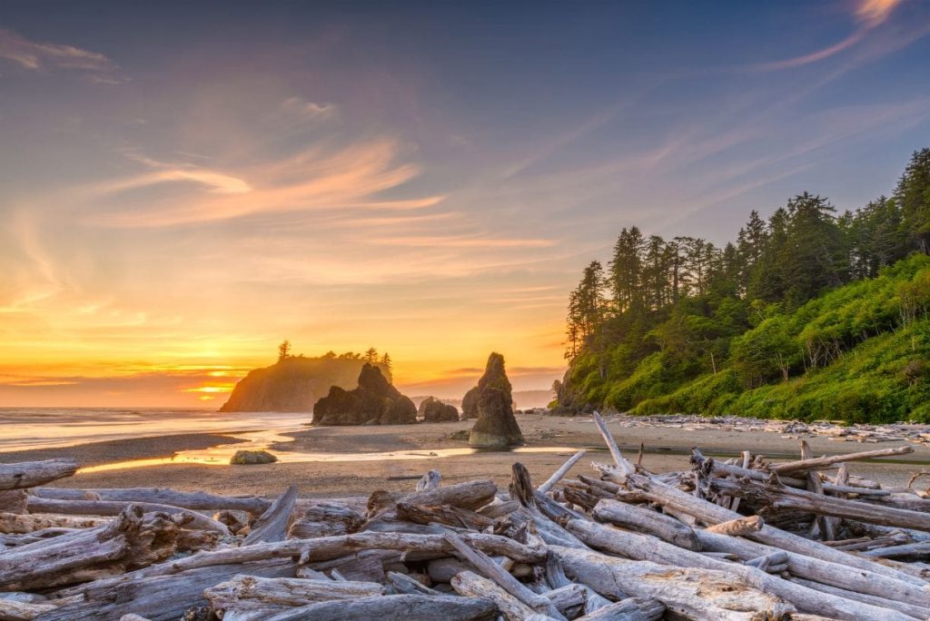 Where Should I Stay When Visiting Olympic National Park?