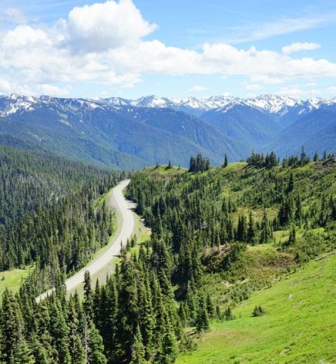 How Long Has Olympic National Park Been Around?