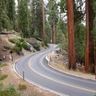 Are Kings Canyon and Sequoia National Park the Same Place?