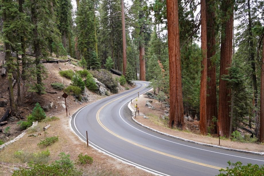 Can I Drive from San Francisco to Sequoia National Park?