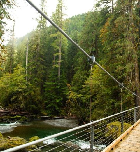 What is the Best Swimming Hole in Olympic National Park?