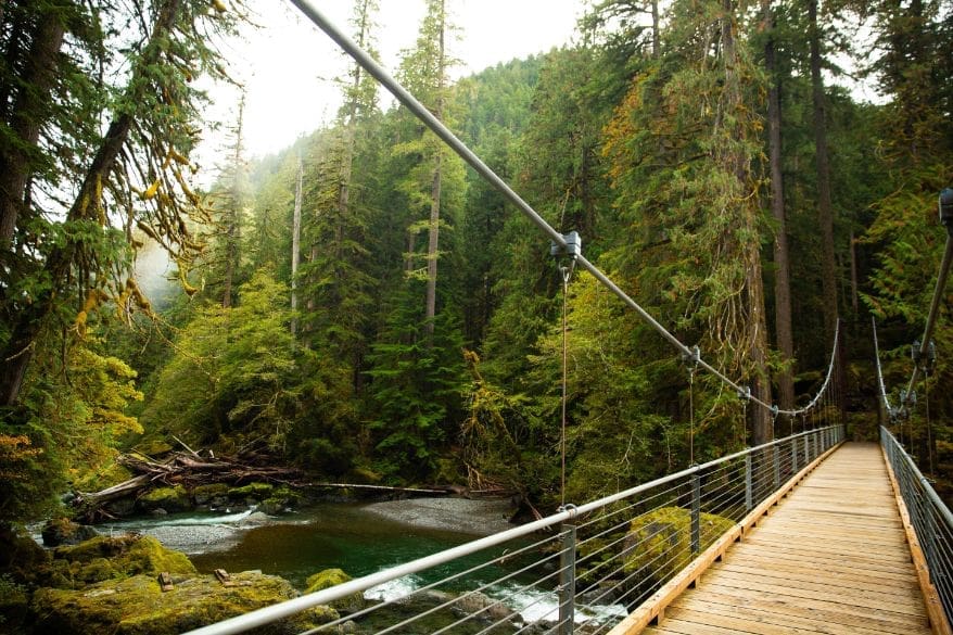 How Long Has Olympic National Park Been Around? 1 shutterstock 2252738453 1