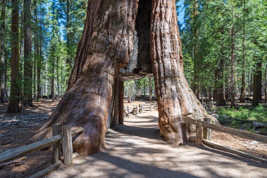 When Should I Visit Sequoia National Park?