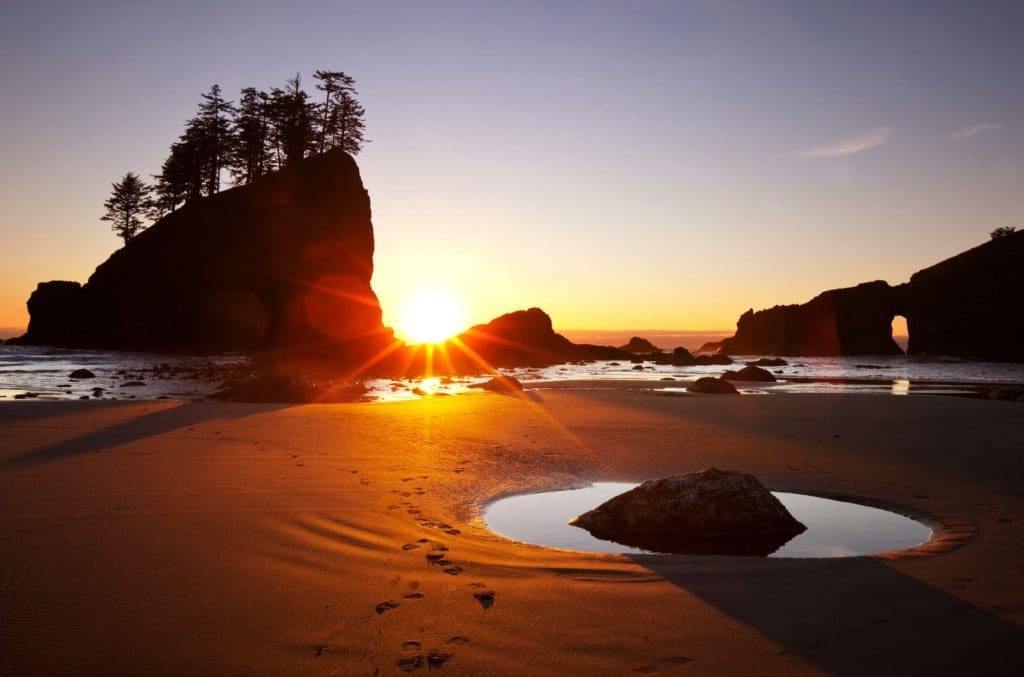 Point Of Arches, Olympic National Park