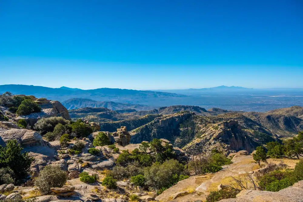 Mt Lemmon Driving Tour: Self–Guided
