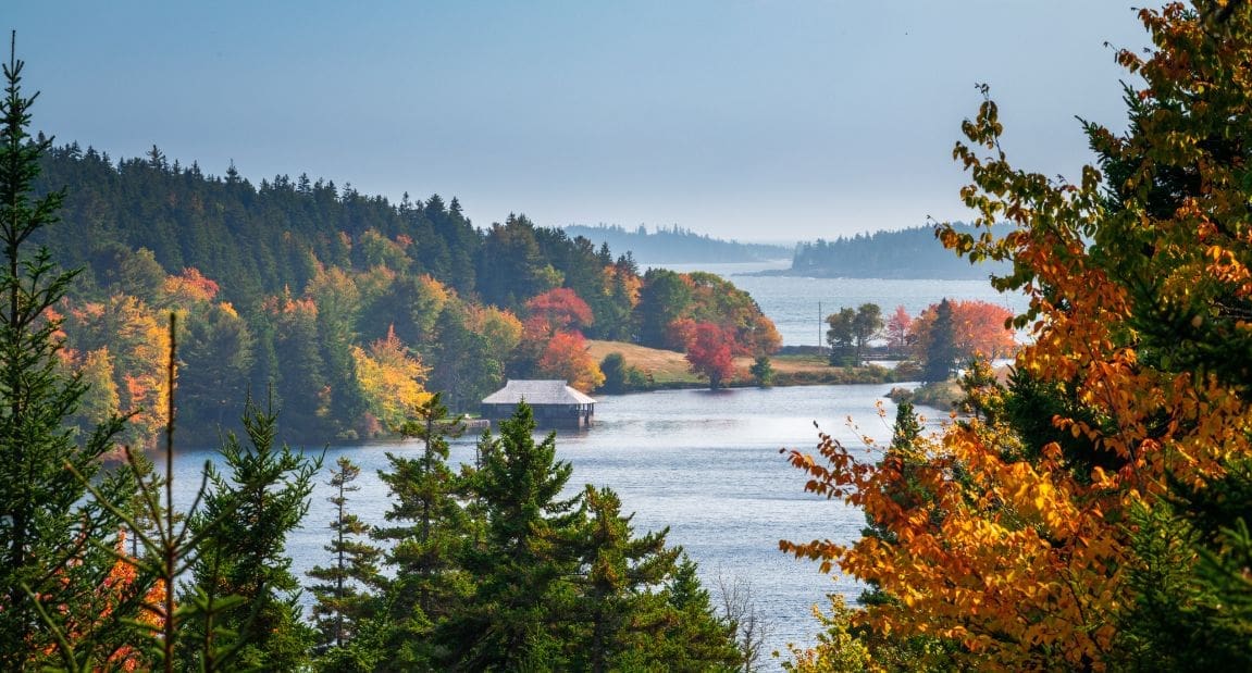 Exploring New England’s Fall Foliage: Self-Guided Tours