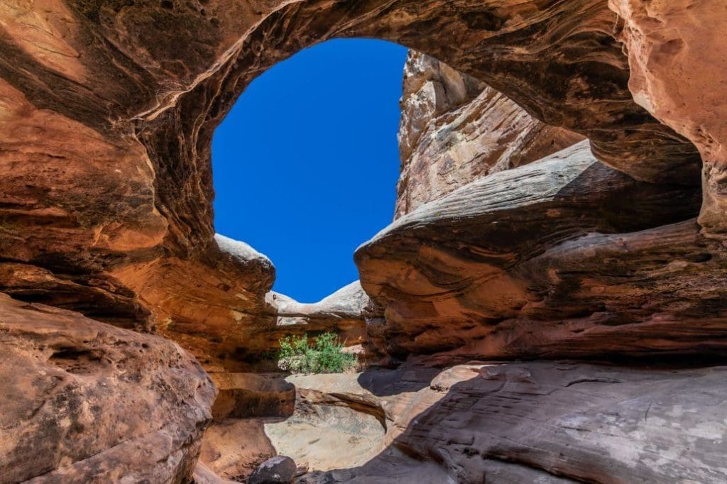 What Makes Utah's National Parks Ideal for Fall Activities? 3 Capitol Reef