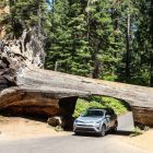 Are Kings Canyon and Sequoia National Park the Same Place?
