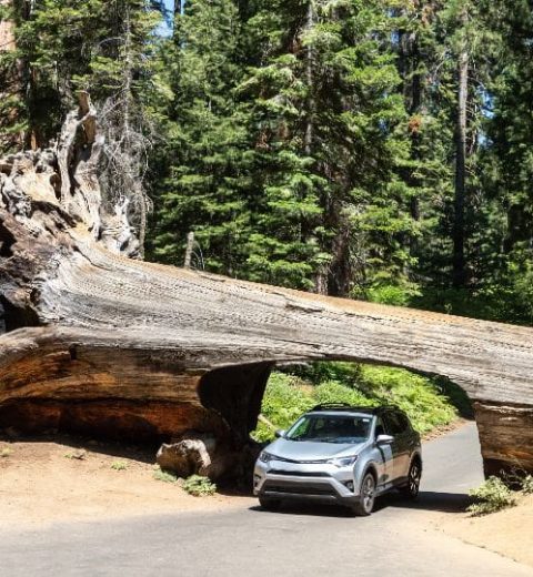 Is There a Scenic Drive Around Lake Tahoe?
